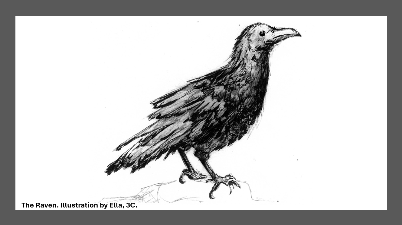 Dark, Horrible and Cold: December Responses to a Gothic Poem